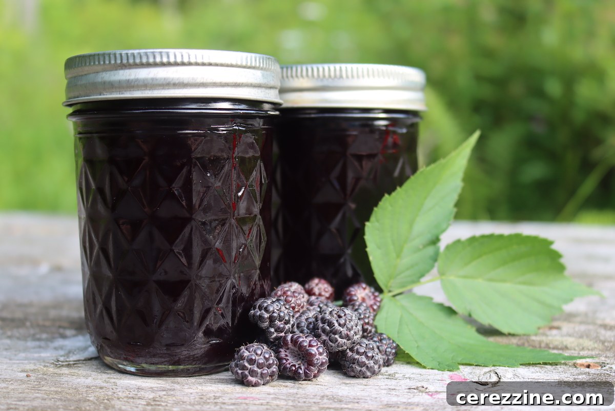 Velvet Black Raspberry Jelly 2 Black Raspberry Jelly