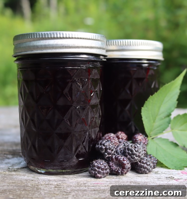 Velvet Black Raspberry Jelly 5 Canning Black Raspberry Jelly
