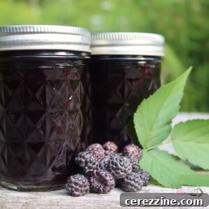 Black Raspberry Jelly