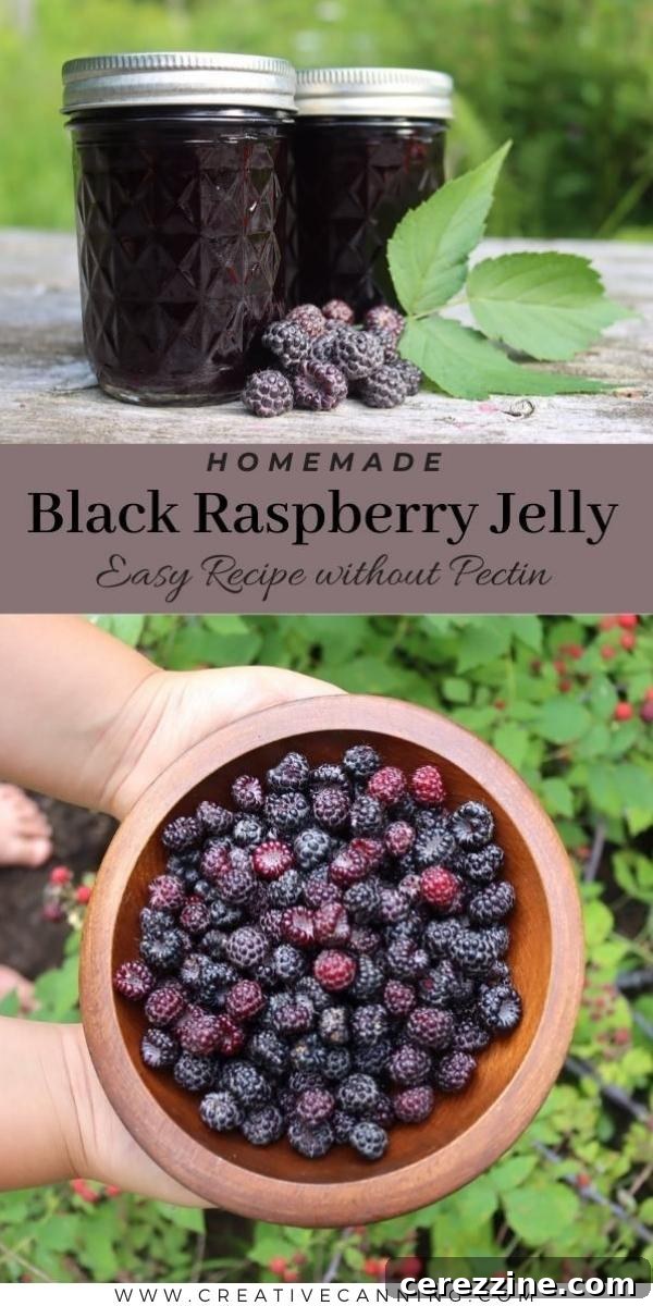 Velvet Black Raspberry Jelly 7 How to Make Black Raspberry Jelly
