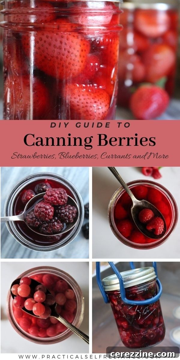 From Bush to Jar: Whole Berry Canning 12 How to Can Berries