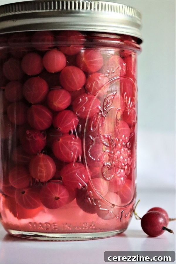 From Bush to Jar: Whole Berry Canning 3 Home canned gooseberries