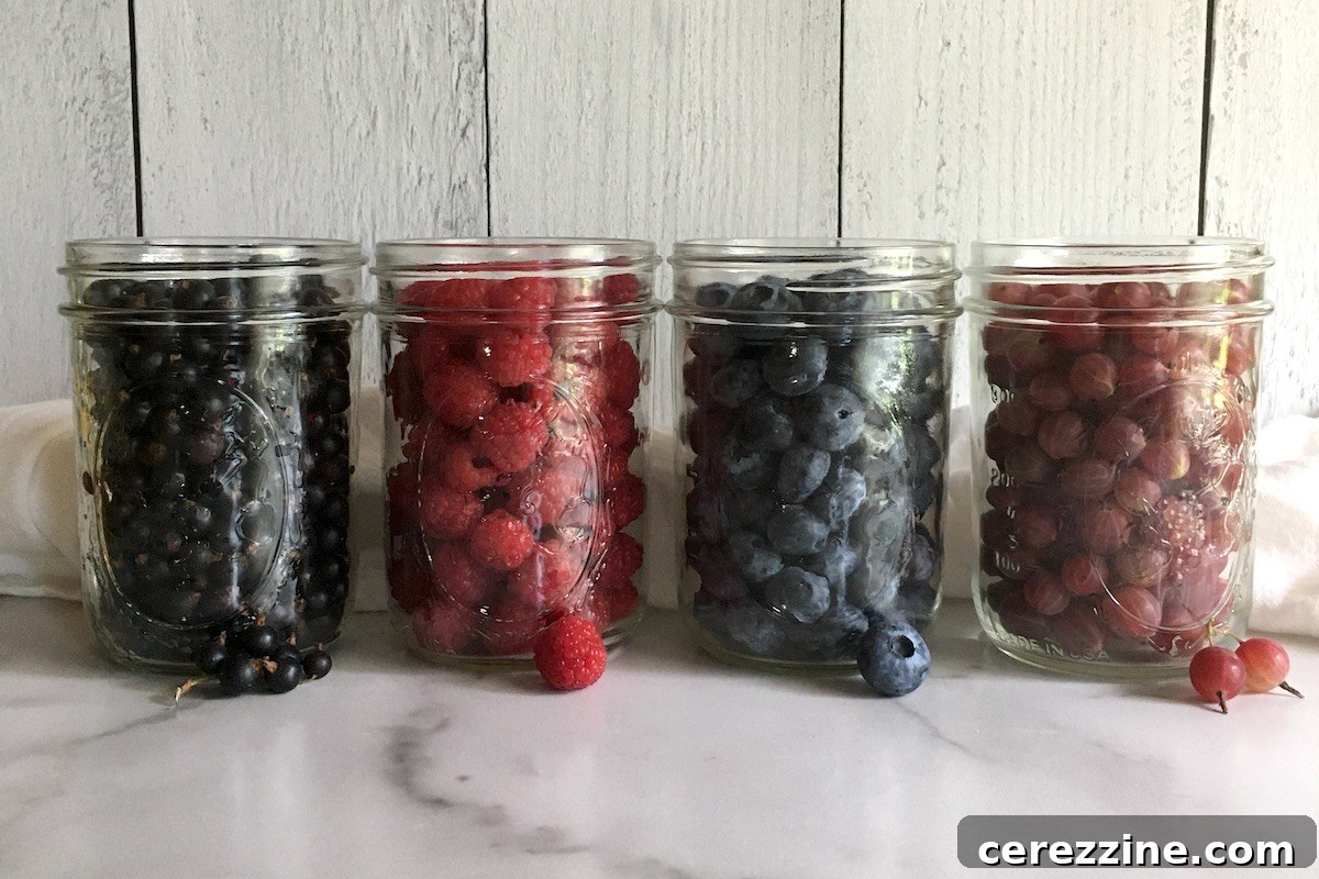 From Bush to Jar: Whole Berry Canning 6 Raw Packing Berries for Canning