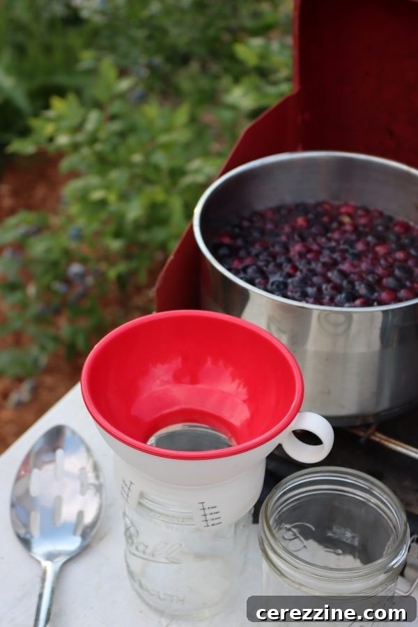 From Bush to Jar: Whole Berry Canning 7 Hot Pack Canning Blueberries