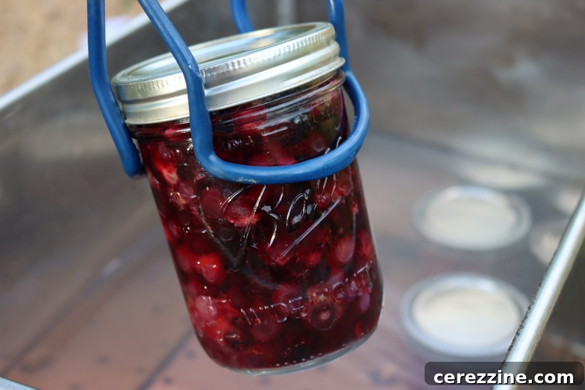 From Bush to Jar: Whole Berry Canning 8 Canning Blueberries