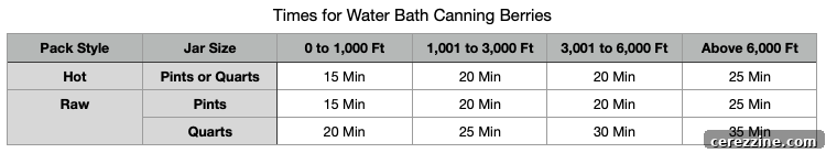 From Bush to Jar: Whole Berry Canning 9 Water Bath Canning Berries