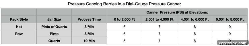From Bush to Jar: Whole Berry Canning 10 Pressure Canning Berries