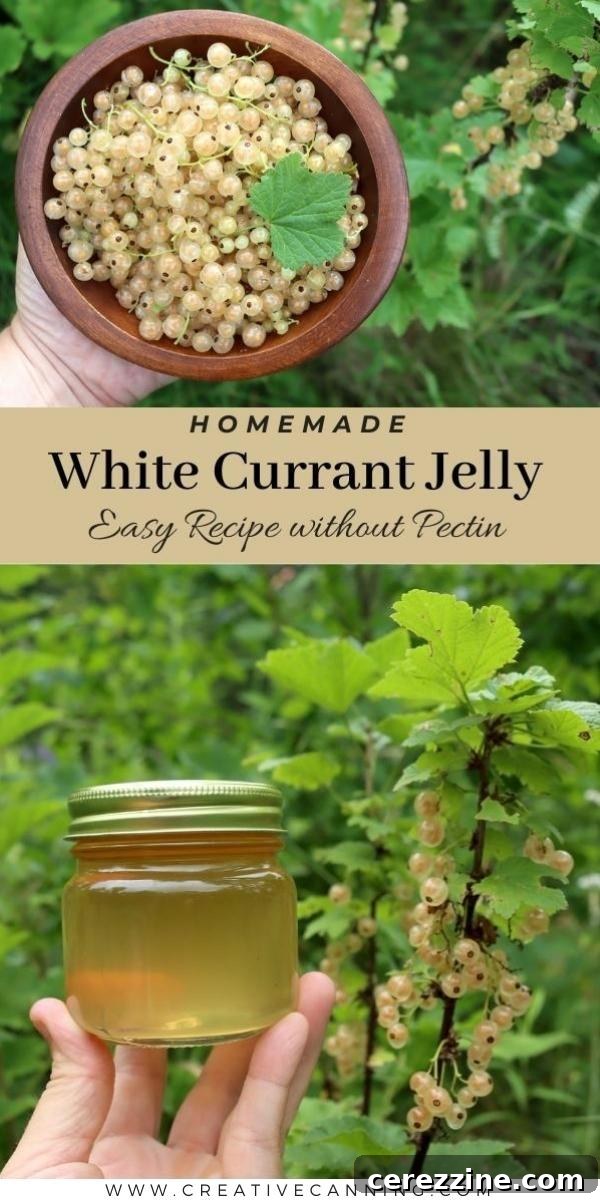 White Currant Jelly Recipe Card