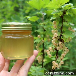 White Currant Jelly