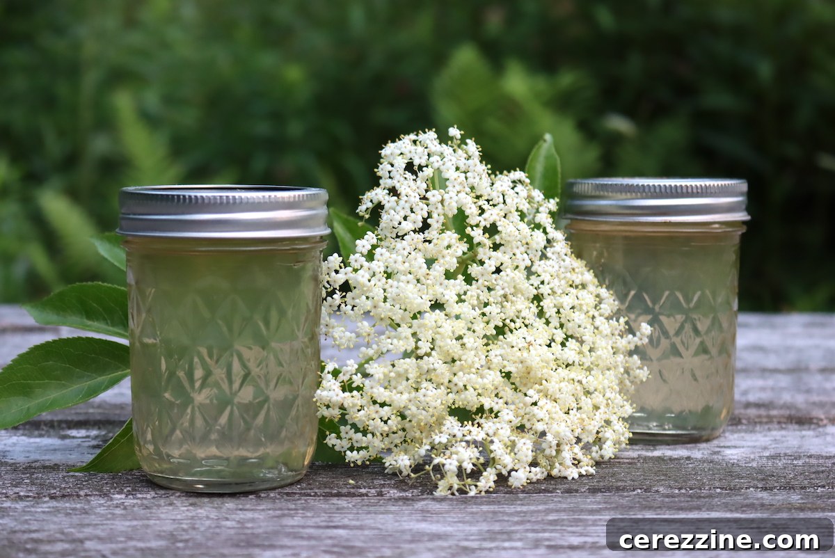 Sparkling Elderflower Jelly 2 Elderflower Jelly in jars, with fresh elderflowers around them.