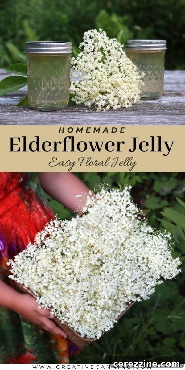 Sparkling Elderflower Jelly 9 Two jars of elderflower jelly with elderflower sprigs.