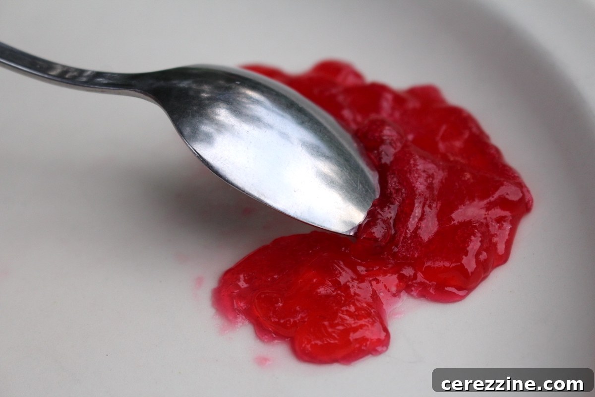 Mastering the Art of Any Berry Jam 5 Testing a Homemade Jelly for Proper Set on a Chilled Plate