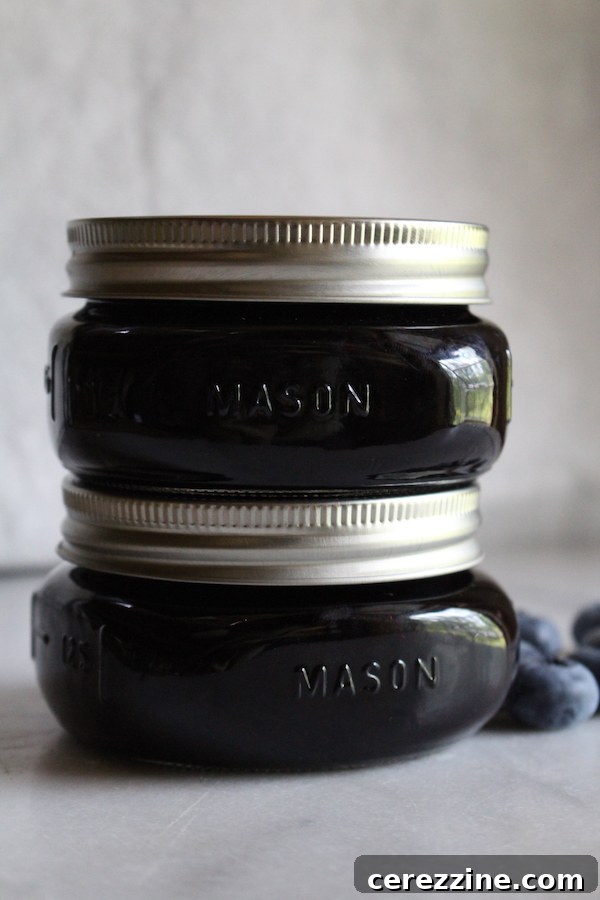 Mastering the Art of Any Berry Jam 6 Canning Fresh Blueberry Jam in Mason Jars