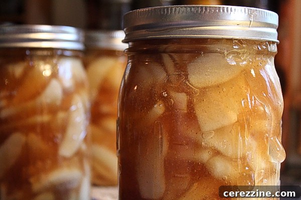 Apple pie filling jars showing signs of siphoning, with liquid leaked out
