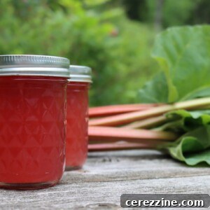 Canning Rhubarb Juice