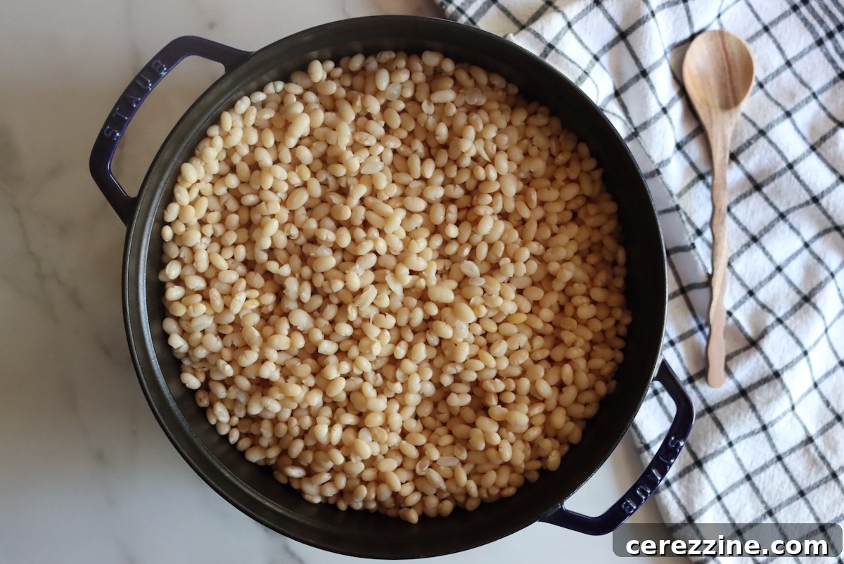 Cooked Navy Beans