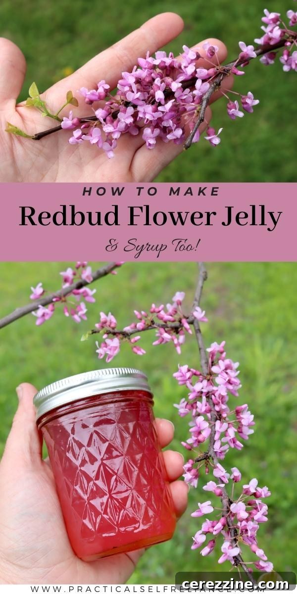 A beautifully arranged scene showing various jars of homemade redbud jelly alongside fresh redbud flowers, emphasizing the finished product.