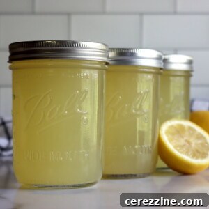 canning lemonade