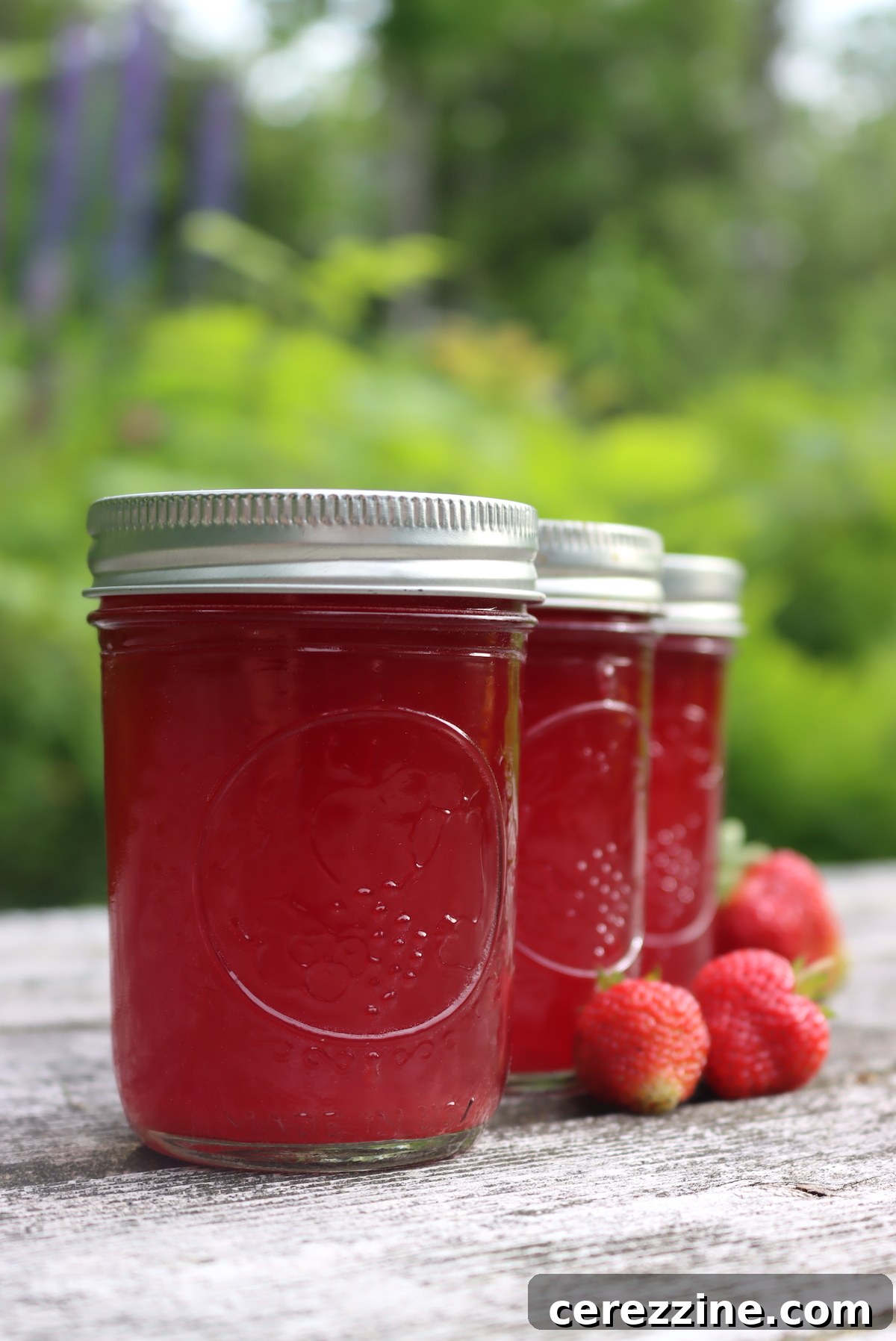 Canning Strawberry Juice
