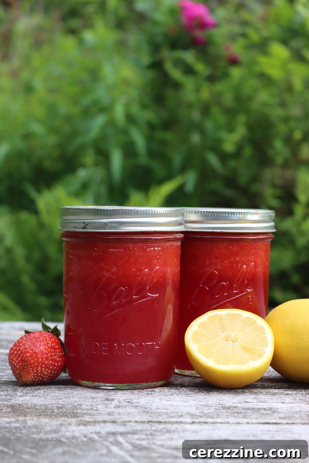 Canning Strawberry Lemonade Concentrate