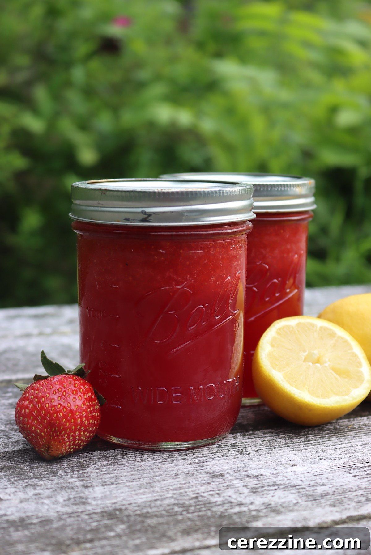 Canning Strawberry Lemonade Concentrate