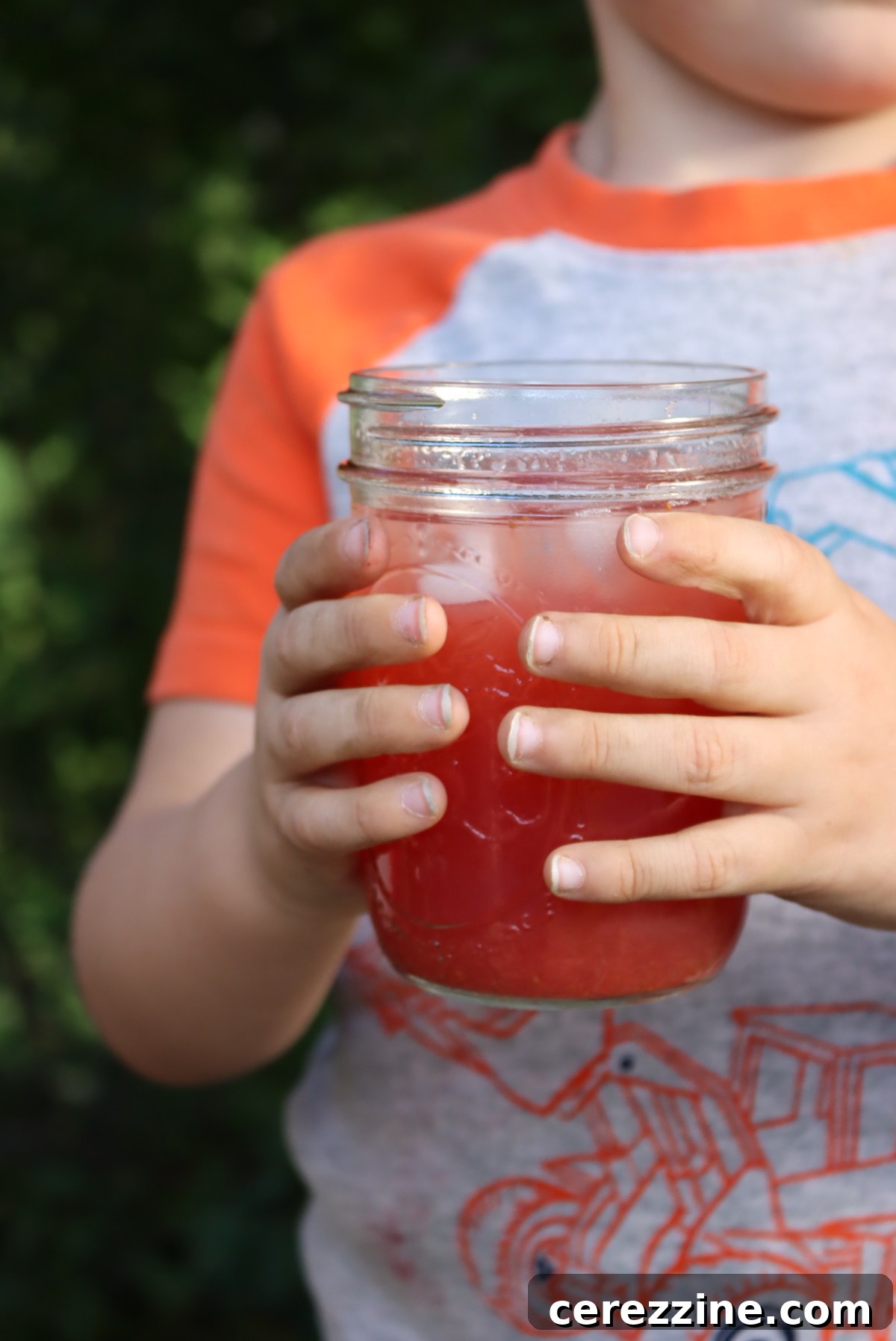 Making Strawberry Lemonade Concentrate