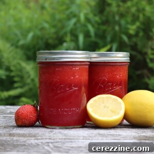 Canning Strawberry Lemonade Concentrate