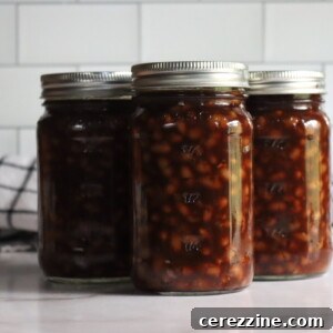 Canned Vegetarian Baked Beans Ready for the Pantry