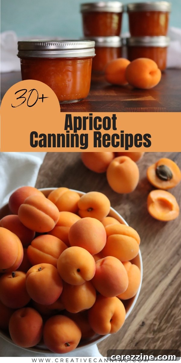 Apricot Canning Recipes