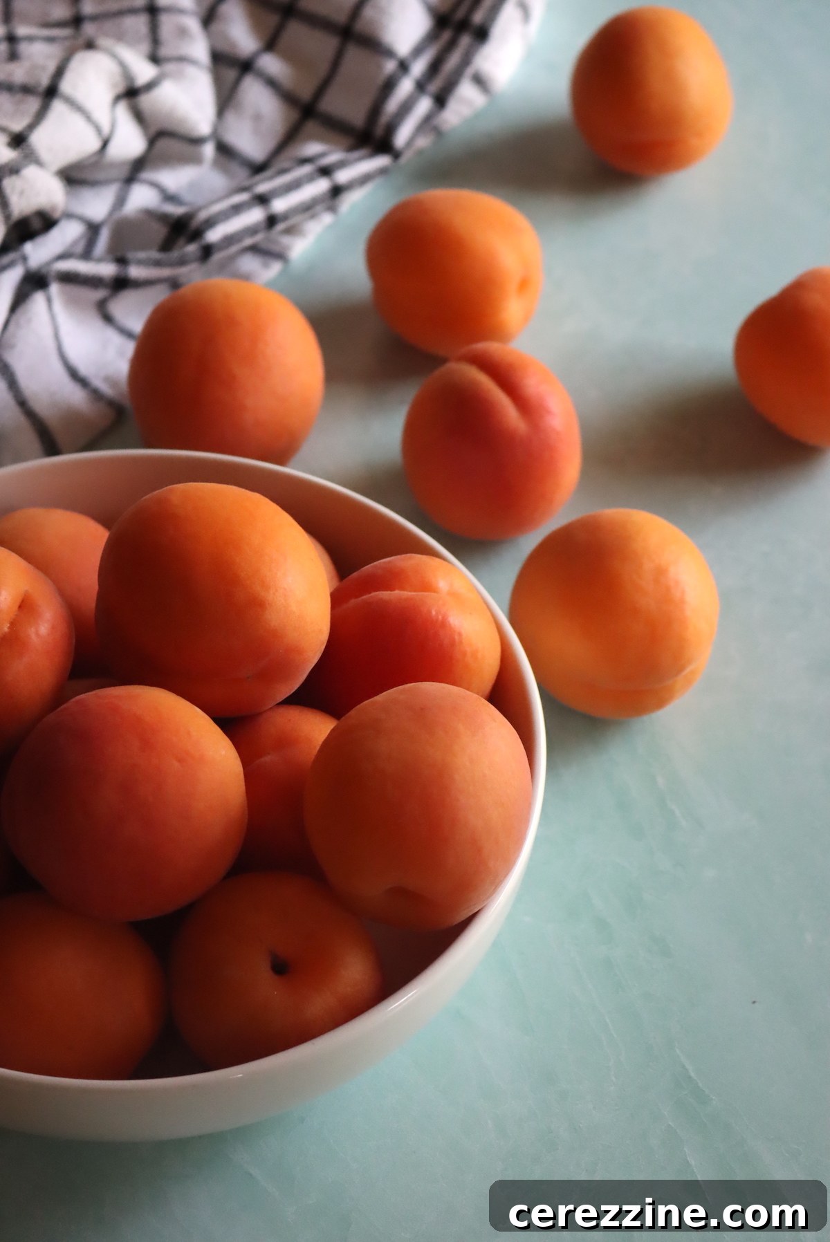Apricots