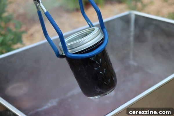 Canning Blackcurrant Juice