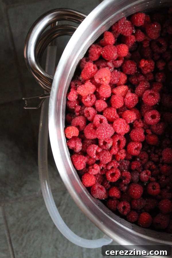 Raspberries in a steam juicer