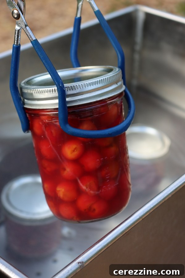 Canning Whole Cherries in Syrup
