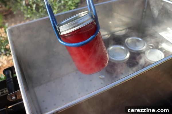 Fresh Cherry Juice in a Glass