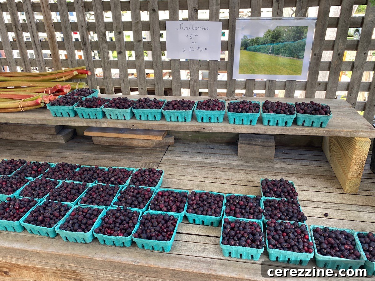 A basket full of freshly picked Saskatoon berries at a farmer's market, ready for making jam.