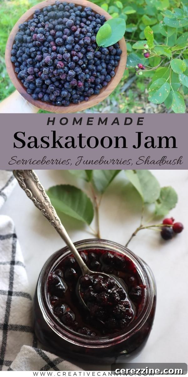 Two jars of finished Saskatoon Jam, one with a spoon showing the texture, on a rustic background.
