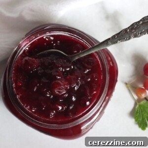 Gooseberry Jam