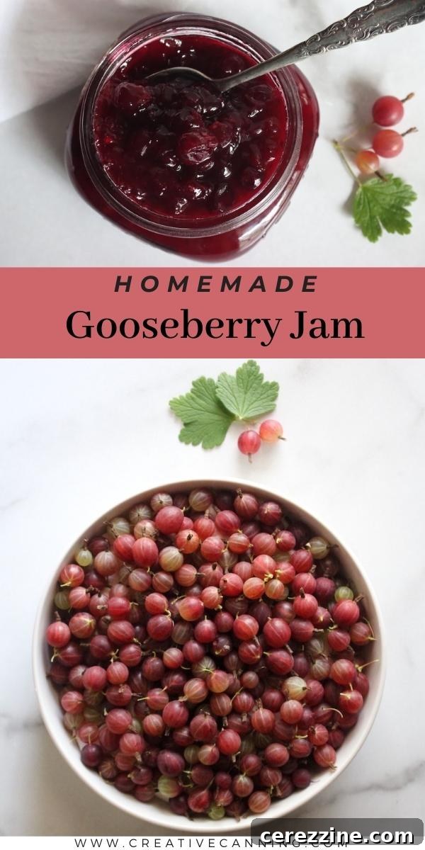 Homemade Gooseberry Jam on a Spoon