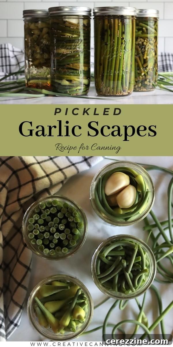 Canning Pickled Garlic Scapes