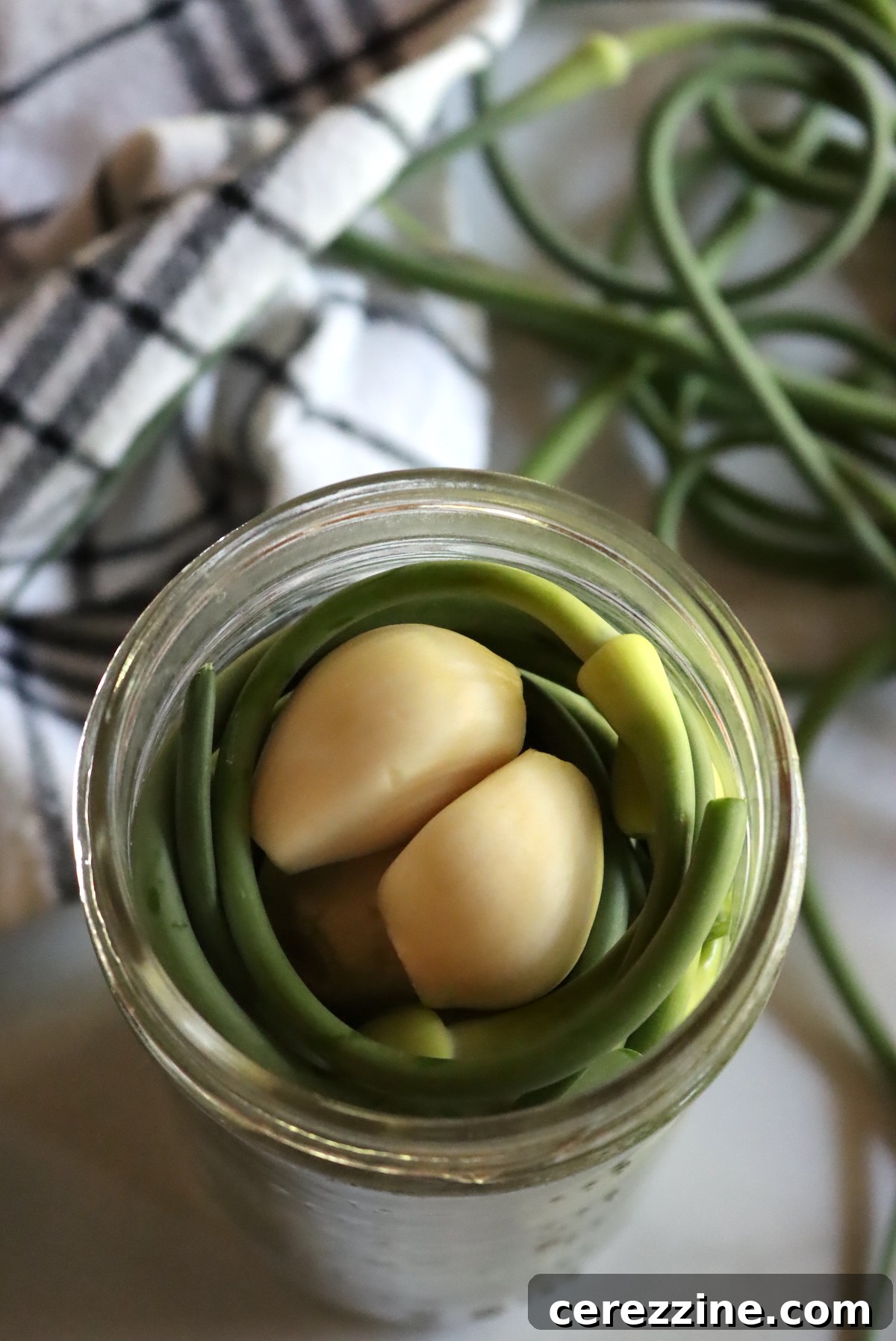 Pickled Garlic Scapes with garlic