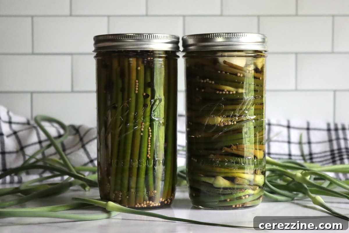 Pickled Garlic Scapes