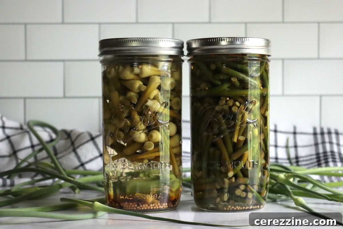 Pickled Garlic Scapes