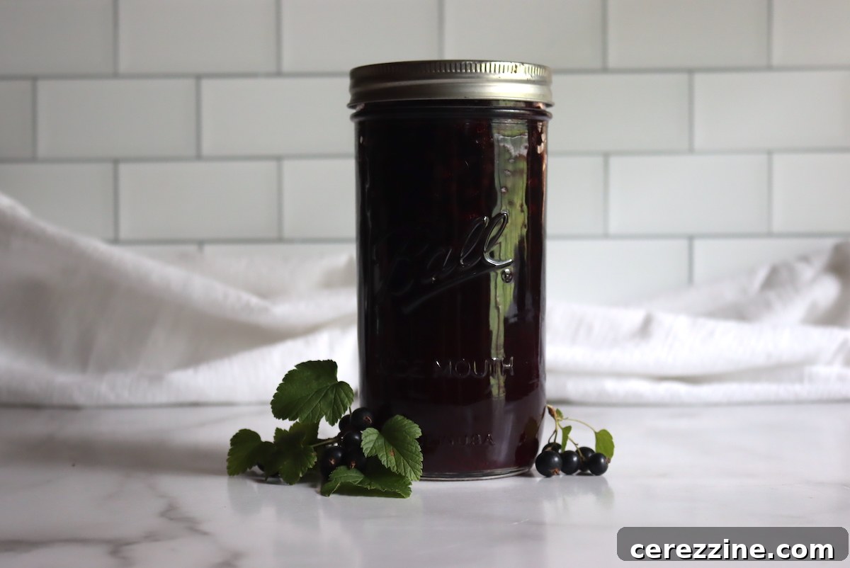 Canning Currant Pie Filling