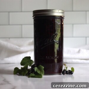 Canning Currant Pie Filling