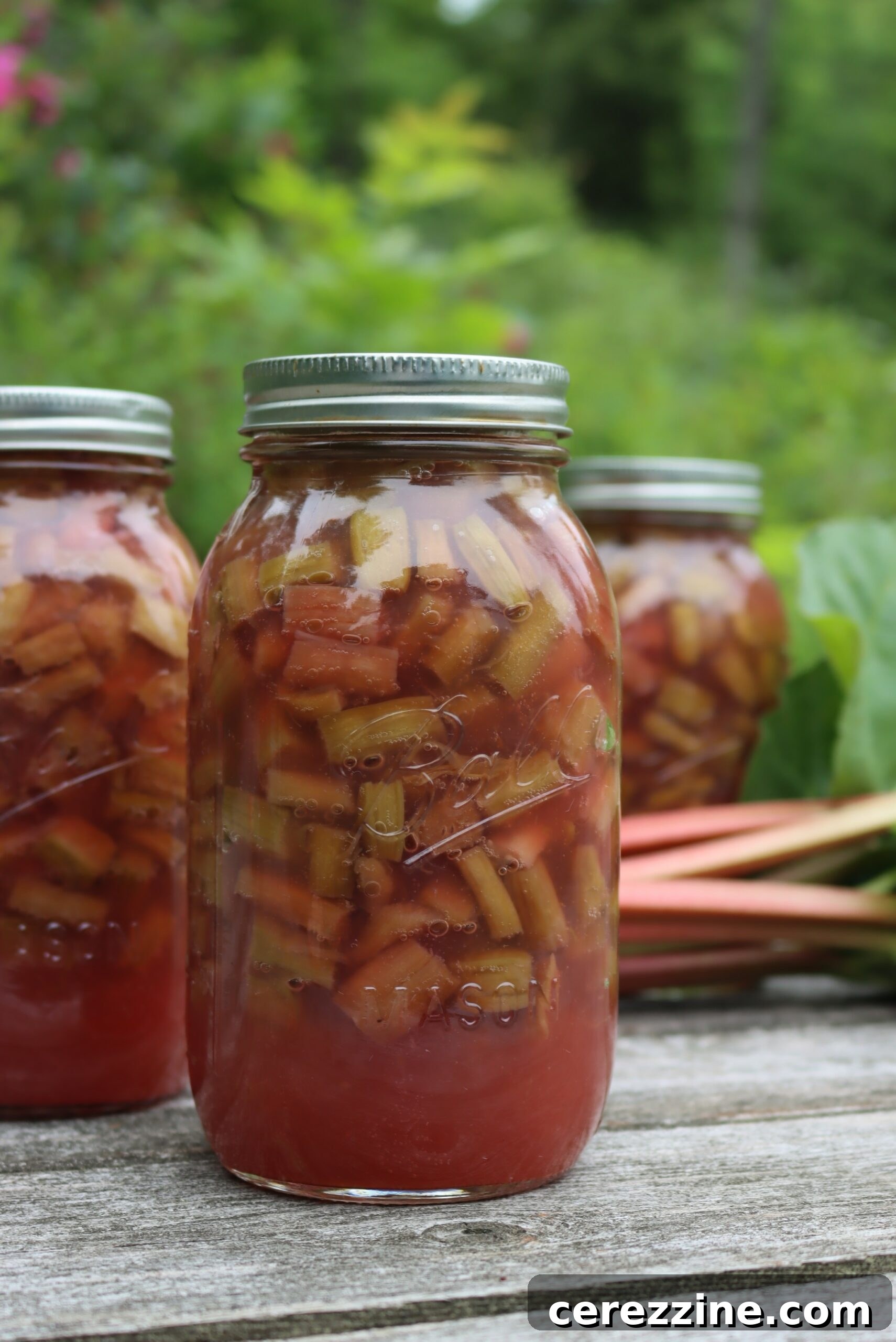 Jars of Homemade Rhubarb Pie Filling 4 Canning Rhubarb Pie Filling