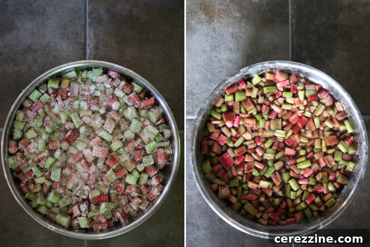 Jars of Homemade Rhubarb Pie Filling 5 Macerating Rhubarb