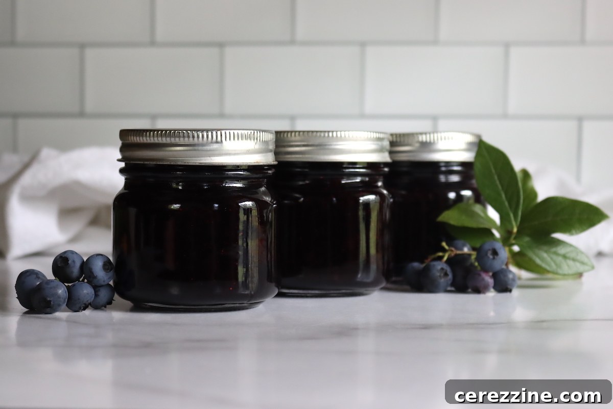 Natural Blueberry Preserve 2 Blueberry Jam