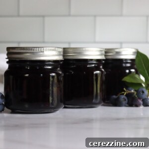 Blueberry Jam