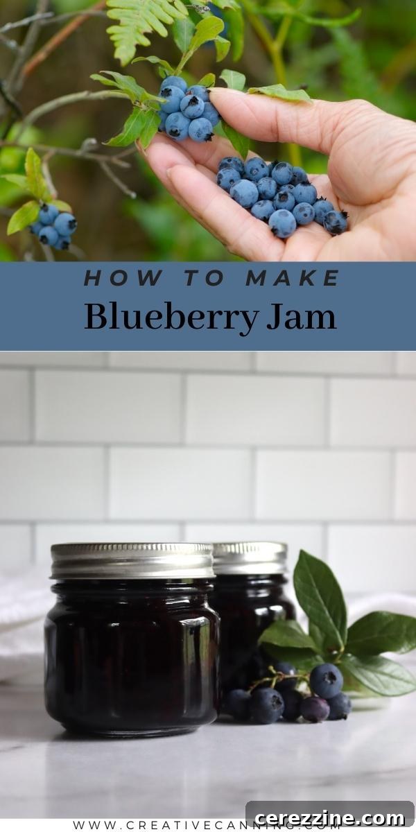 Natural Blueberry Preserve 5 How to Make Blueberry Jam