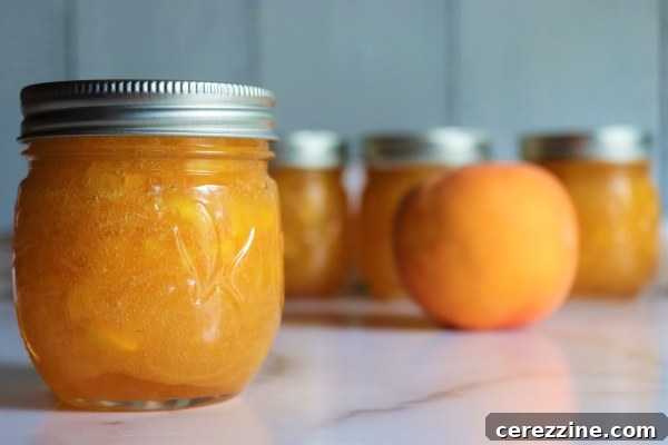Peach Jam: Sweet Spreads for Your Pantry